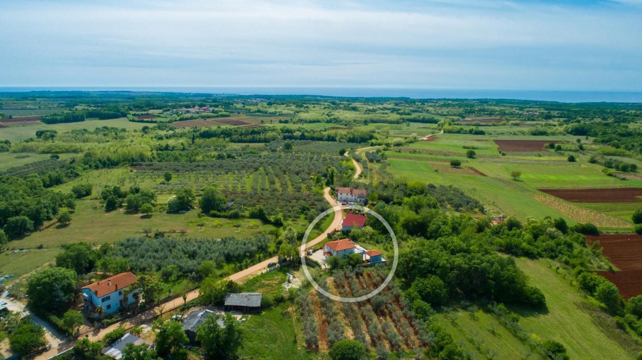 Villa Buroli With Pool, Sauna And Jacuzzi المظهر الخارجي الصورة